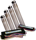 lamps and ballasts